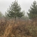 상정리마을회관 이미지