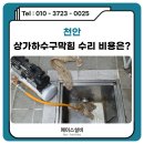천안지역 환경 노동조합 | 천안 상가하수구막힘 뚫는 비용 불당동 배관막힘 악취 해결