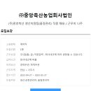 (주)중앙식품