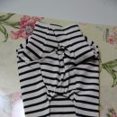 빅토리애견 이미지