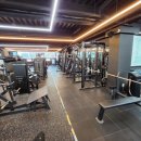 지니월드짐 이미지