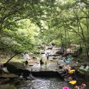 동수원고시원 | 공동체의 산실 실상사에서
