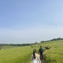 신덕농장 | 고창 가볼만한곳 BEST｜직접 다녀온 여행 후기