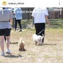 더키두들