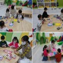 도양-2호 이미지