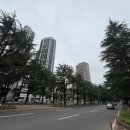 가로수 - 남동구 앵고개로948번길 54 | 가로수