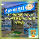 신화유통 | 대구 매천시장 신화수산 대게 횟감 시세 활어회 해산물 매운탕 맛집 내돈내산