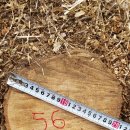 은평-056 이미지