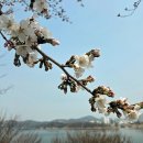 낙동강변로-4 네이버블로그