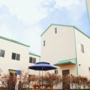 리플래시