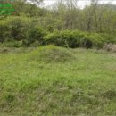 회산리 마을회관 이미지