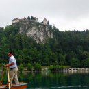 퐁당퐁당 이미지