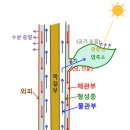 아프락사스 이미지