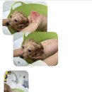 바르다 펫 부산센텀점 이미지