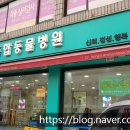 홍상희동물병원 이미지