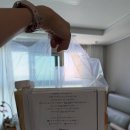 호박이네 | 화명동 호박이네 호박카스테라인절미후기 무서운 인간사료 떡맛집 선물추천 답례품 추천