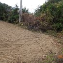 지천면사무소 이미지