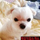엄마사랑직업소개소 네이버블로그