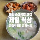 제일순대찰국밥 | 용인 곤충테마파크 근처 맛집 '제일 식당' 순대 국밥 후기