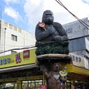 인터넷 천국 | 왁뿌볼, 말랑이, 레고, 피규어 천국 동묘 문구거리 구경 후기