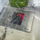 하와이대중탕