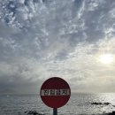 [제주우도펜션] 사장님이 친절하신 우도펜션 &#34; 우도 볼레낭펜션&#34; - 우도 1박 추천 / 렌트카 반입 허용 조건
