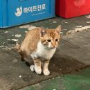 진여수산 이미지