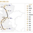 금빛투어 이미지