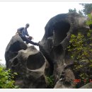 영신숲길2 이미지