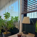 나정2리 이미지