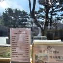 든든한병원 | [서울아산병원 맛집] 가람 육개장칼국수 후기: 든든한 혼밥의 정석, 밥까지 주는 센스!