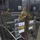 수우회사 | 펠리스노비아 당일 계약 2부드레스 서비스 진짜 솔직한 후기, 본식드레스 걱정하는 예신을 위한 포스팅