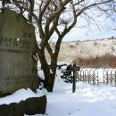 교래자연휴양림야영장 이미지