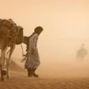 청아여관 이미지