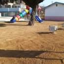 가음초등학교 병설유치원 이미지