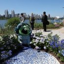 뚝섬한강공원-16 이미지