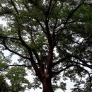 무수골마을입구 이미지