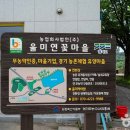 울미연꽃마을 이미지