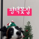 생기농원 이미지