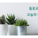 2026년 08월 05일 (수) 제목 : 아합의 회개 오늘의 말씀 : 열왕기상 21:17-29 이미지