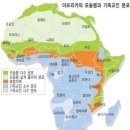 아프리카 - 제주시 노연로 110 | 아프리카