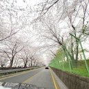 백우숯불갈비 | 진해 가족모임 추천 ) 백우숯불갈비