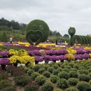 10/19피나클랜드&amp;외암민속마을 이미지