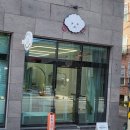 경산 애견미용 예쁜강아지 첫 미용 후기