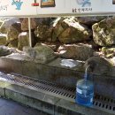 갯골샘터 이미지