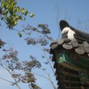 성동초교 이미지