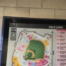 스타디움STADIUM | 뉴욕 가족여행 추천 | 초등아이와 양키스타디움 직관 후기 (Yankee Stadium )
