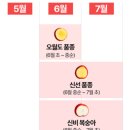 제철과일 신비복숭아 속이 하얀 천도복숭아 땡큐파머스