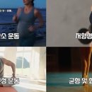 노화태권도 이미지
