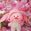 화성시서부보건소 이미지